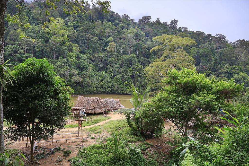 Hotel Mutiara Taman Negara Kuala Tahan Esterno foto