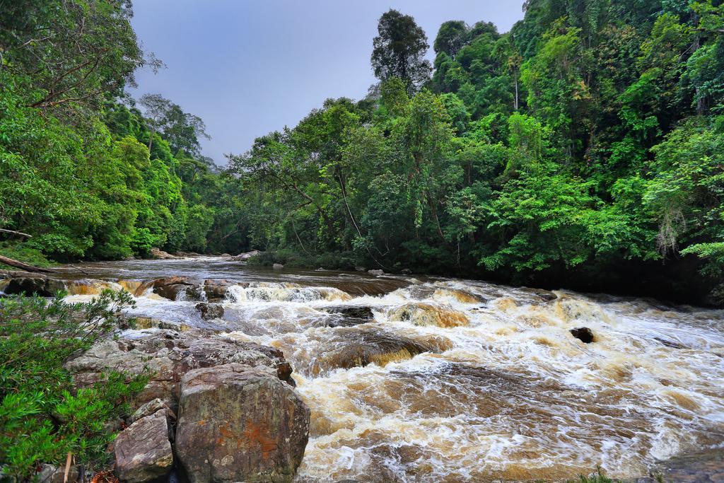 Hotel Mutiara Taman Negara Kuala Tahan Esterno foto